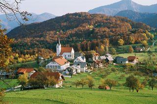 Krajevna skupnost Sedraž